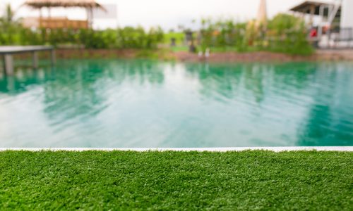 outdoor-swimming-pool-with-green-grass-bokeh-background