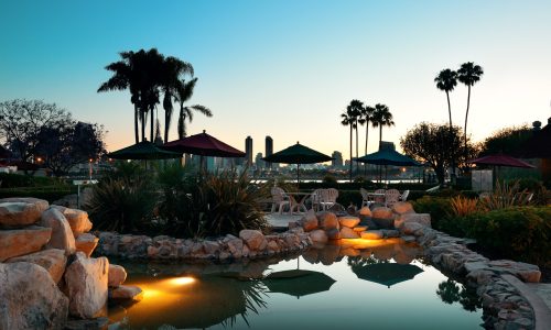 San Diego dawn in early morning with palm tree silhouette.